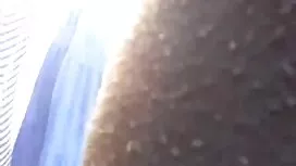 Gà hai anh set nhat  ...